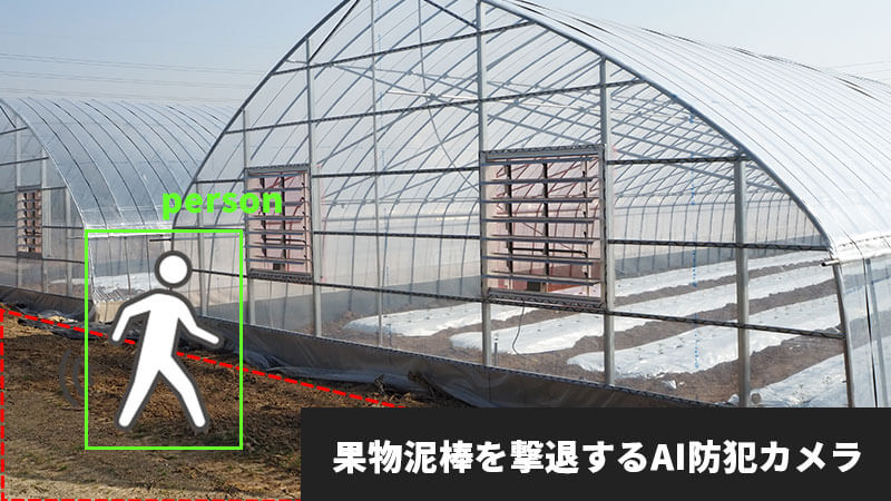 AI防犯カメラで果物泥棒を撃退