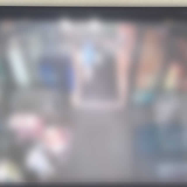 幸田町 入り口防犯カメラ映像ぼかし