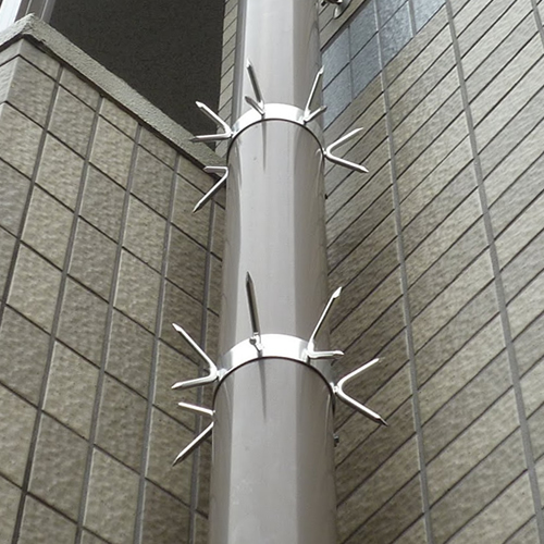 あまどいの防犯に雨樋用忍び返し