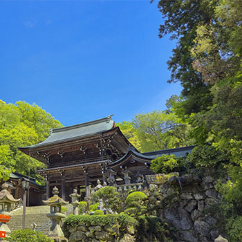 夜間などに無人になりやすい、神社の構造的なリスク