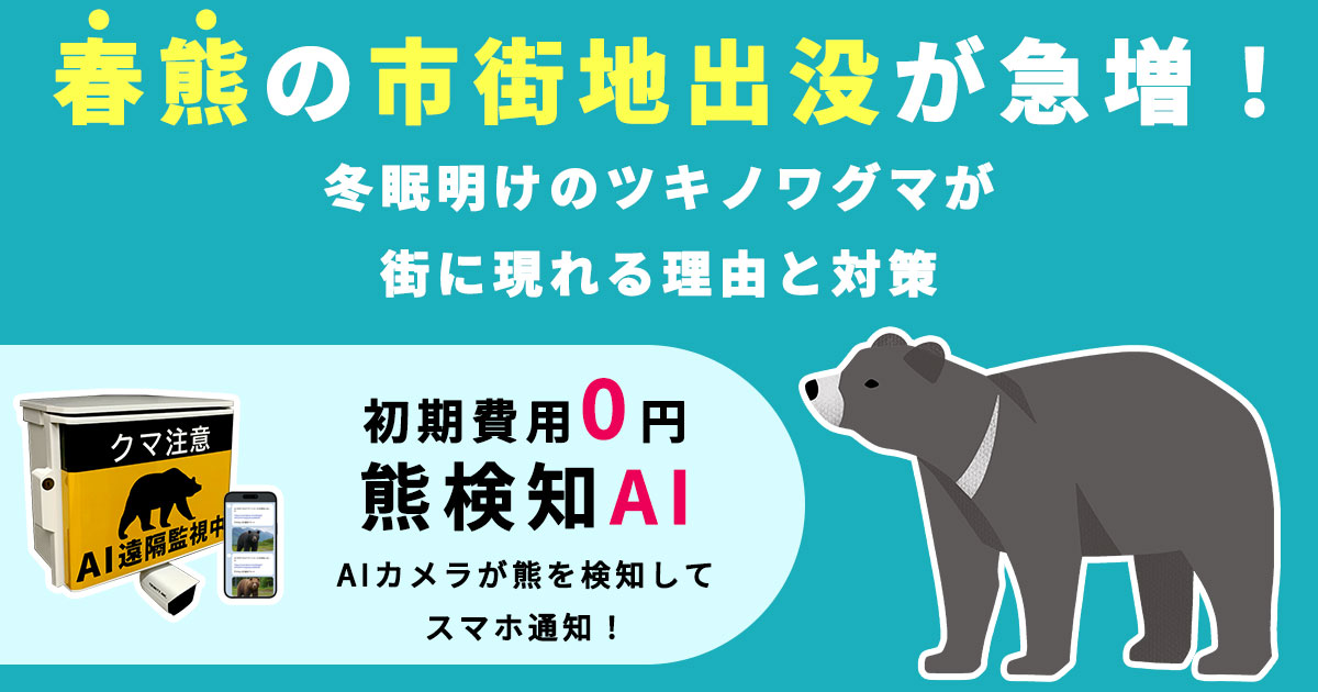 【2026年春】春熊の市街地出没が急増!冬眠明けのツキノワグマが街に現れる理由と対策