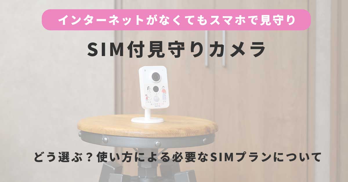 SIM付高齢者見守りカメラのおすすめ