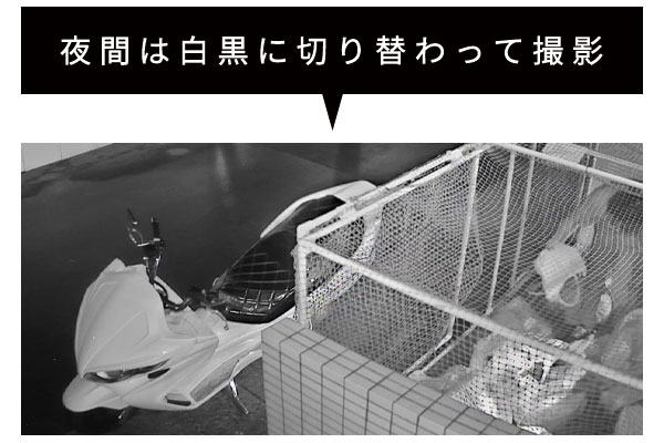 夜間監視に最適な赤外線(IR)機能