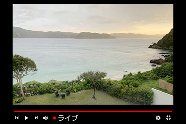 24時間365日YouTubeライブ配信