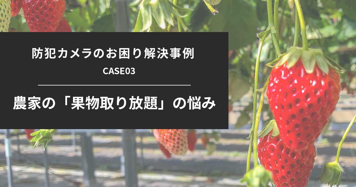 果物狩りや食べ放題でのお困りを防犯カメラで解決