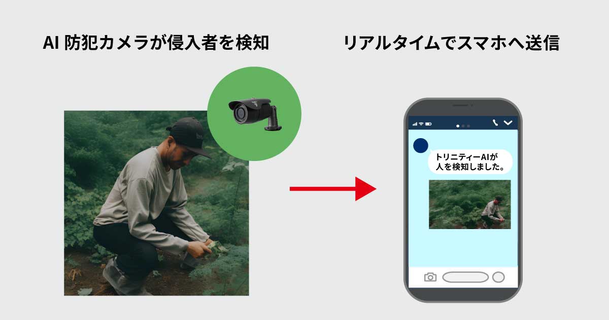 山菜の違法採取の対策に防犯カメラ