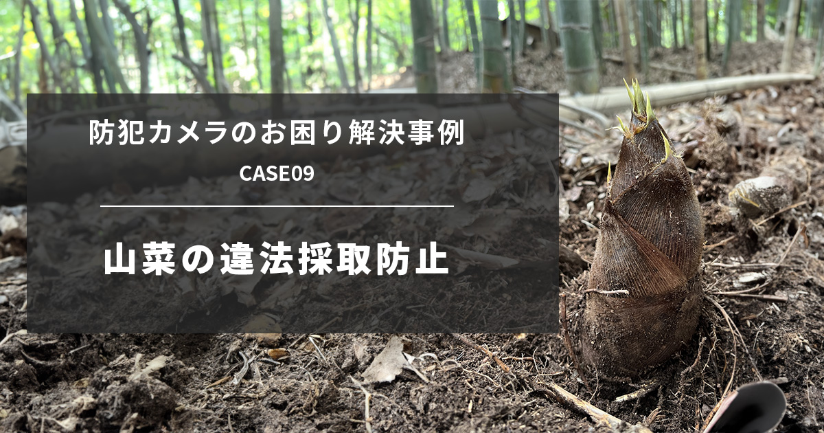 山菜の違法採取の対策に防犯カメラ