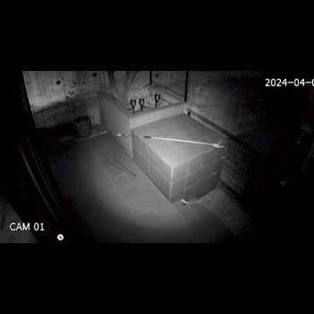 照射の中心部分は赤外線がしっかり届くため明るく映る